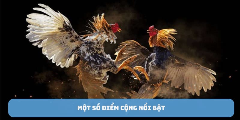 da-ga-88i-diem-cong