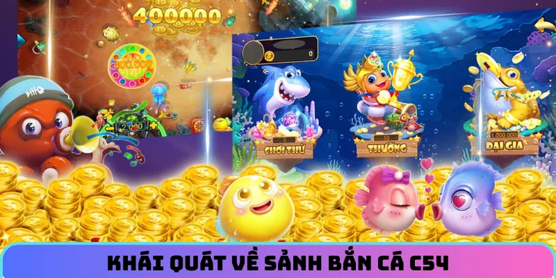 ban-ca-c54-gioi-thieu