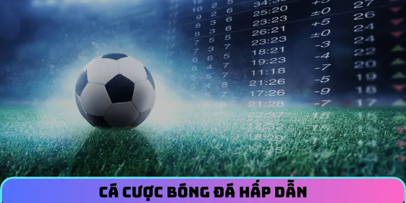 the-thao-c54-ca-cuoc-bong-da